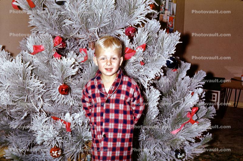 Boy, Tree, smiles, Frosted Tree, 1950s
