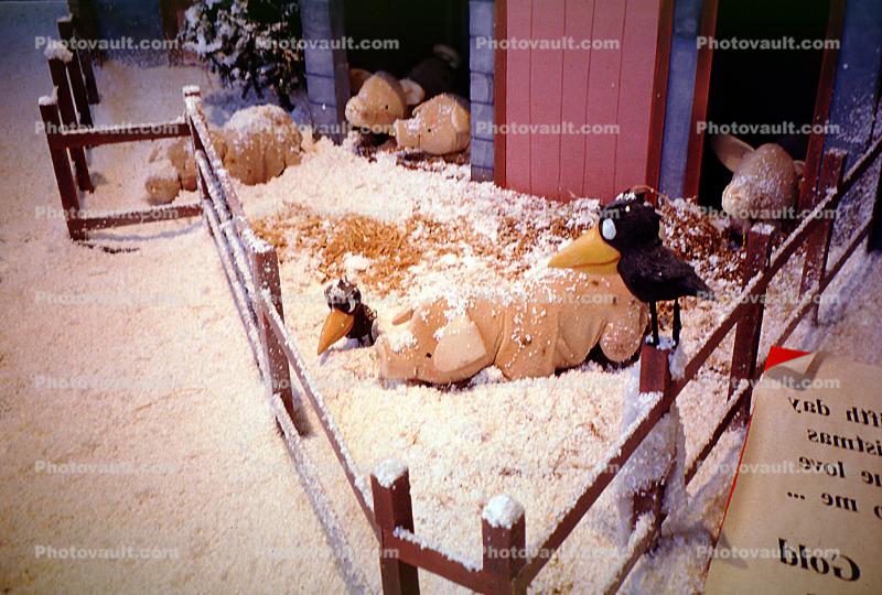Farm Scene, Crow, Pigs, fence, barn animals, 1950s