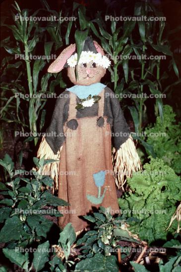 bunny rabbit in a garden