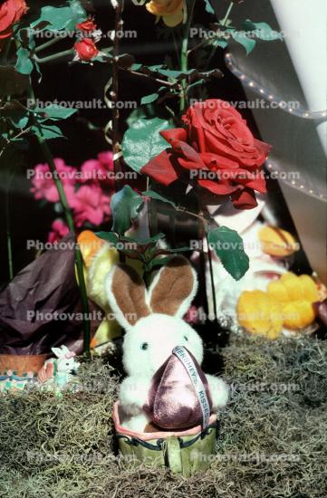 Bunny Rabbit, roses, egg, chocolate