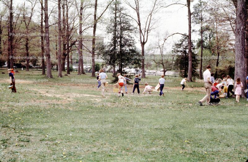 Eggs, Basket, Hunt, April 1981