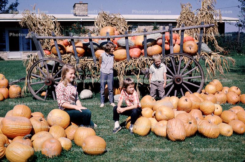 Wagon, Pumpkins, 1950s