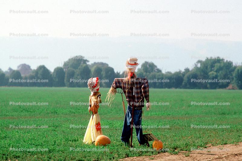 Scarecrow, Fields