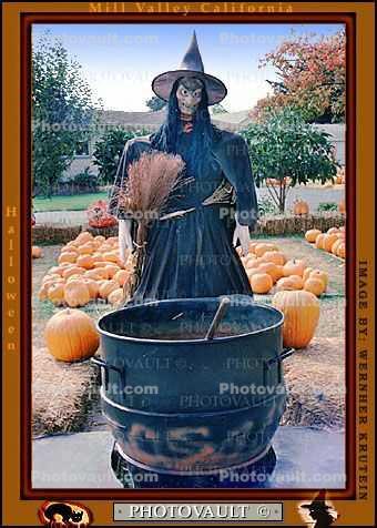 Witch, Scarecrow, Sebastopol, California