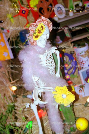 Day of the Dead, pink skeleton