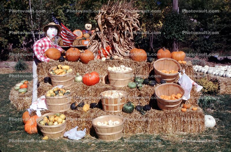 Hay Bales, Scarecrow, Pumpkins