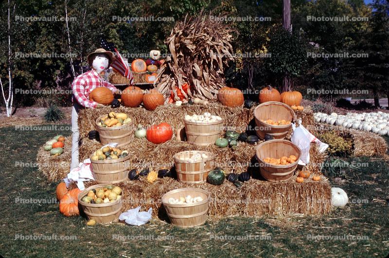 Hay Bales, Scarecrow, Pumpkins, Buckets