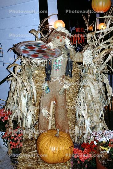Door County, Scarecrow, Pumpkins