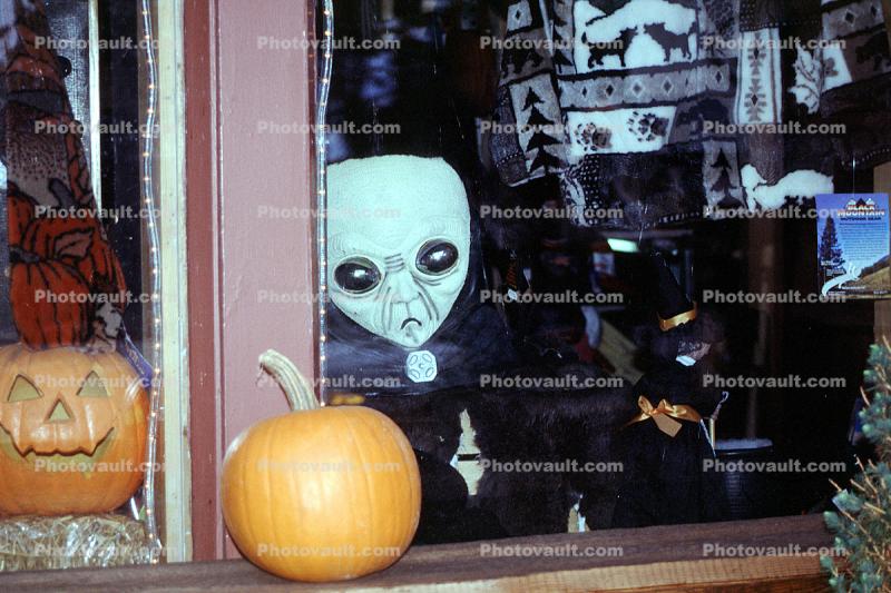 Door County, Alien, Pumpkins