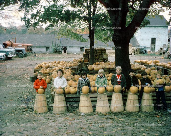 boys, girls, pumpkins, farm building, cars, harvest, 1960s