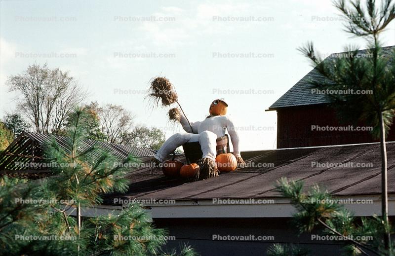 Scarecrow, Pumpkins, Roof, funny