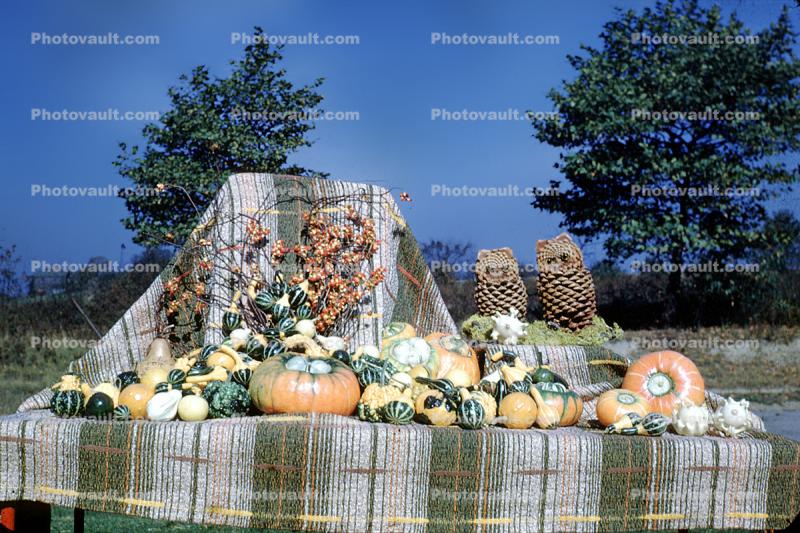 Fall, Autumn, Pumpkins, Harvest, Owls, Display, Vegetables, Squash, Pumpkin, October 1947, 1940s