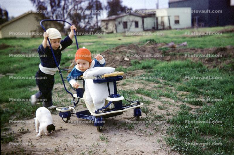 Puscart, Stroller, dog, baby, toddler, 1940s