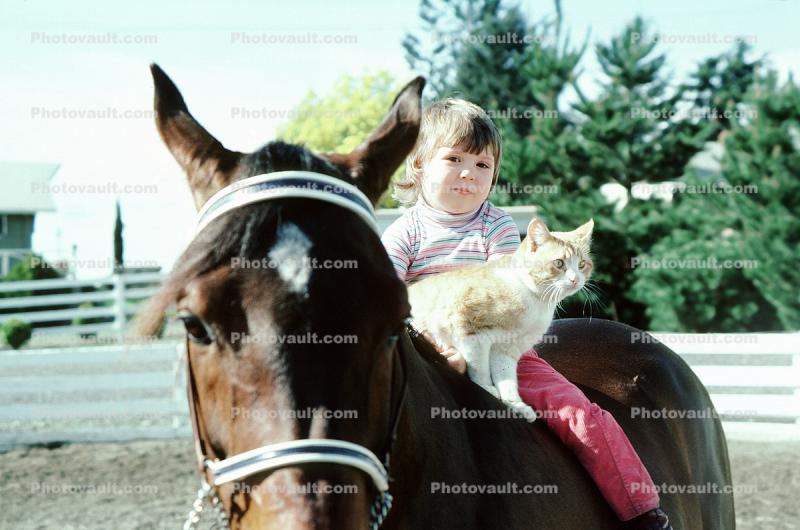 Girl with a Cat on a Horse