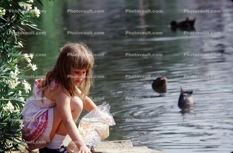 Smiling Girl feeding Ducks, 1960s