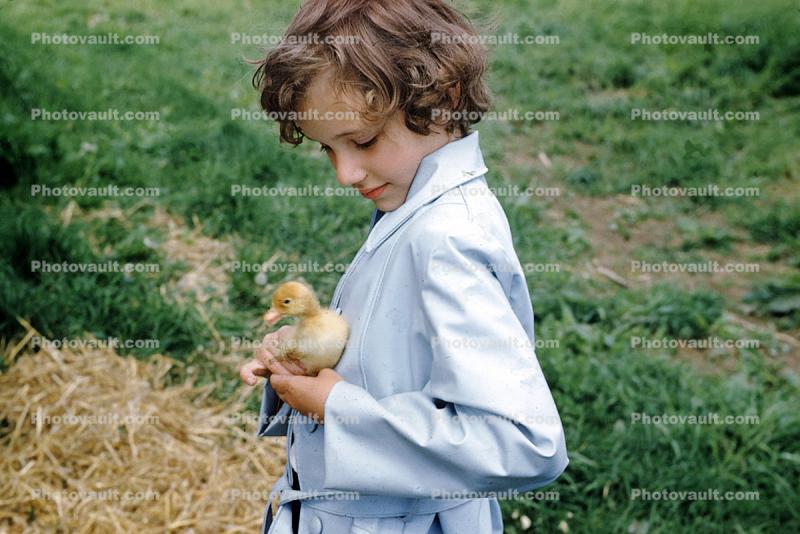 Girl with her Duckling friend, duck, cute
