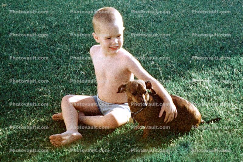 Boy, Dachshund, Wiener Dog, small dog breed, 1950s