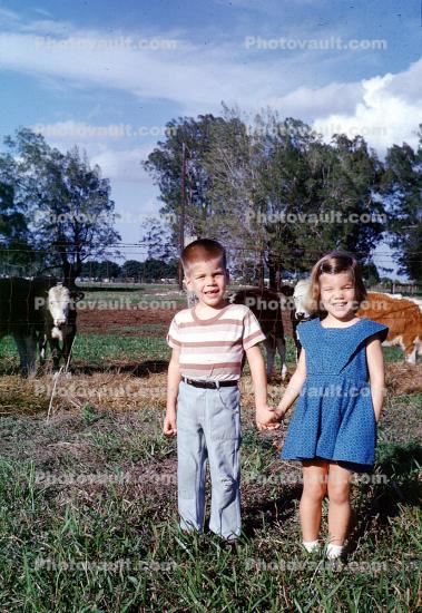Brother, Sister, Siblings, Girl, Boy, Cow, 1960s
