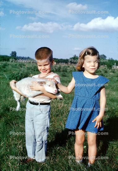 Lamb, Cuddly, Brother, Sister, Siblings, Girl, Boy, 1960s
