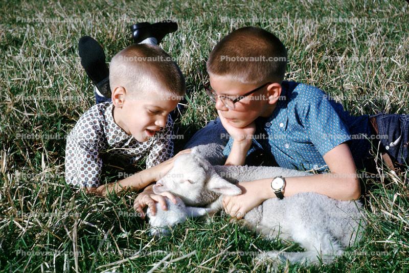 Boys, Lamb, cuddly, February 1963, 1960s