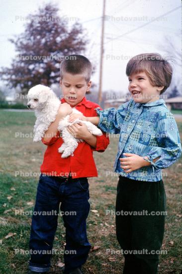 Boy, Girl, Poodle, Brother, Sister, 1960s