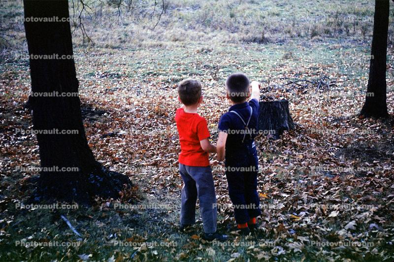 Friends, Boys, Autumn, 1950s