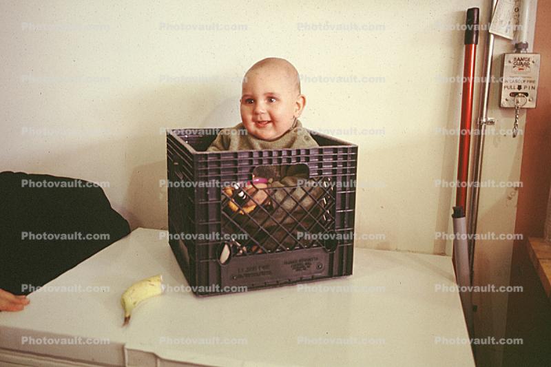 Toddler, Boy in Box