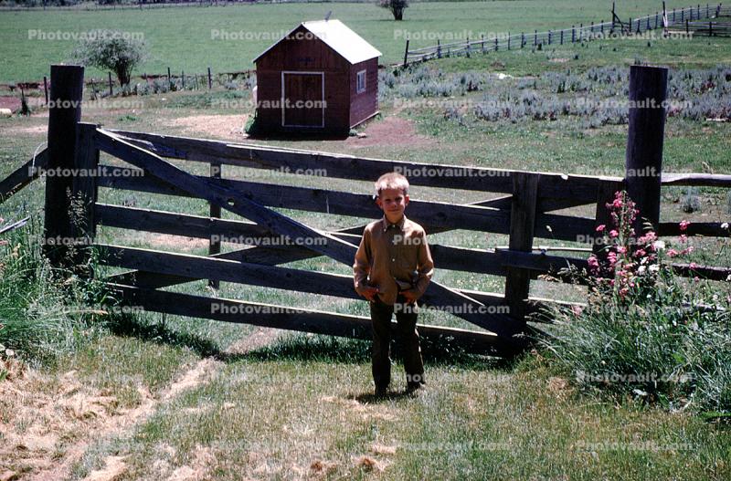 Gate and Fence, Hut, fields, shed, 1950s