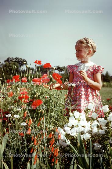 Girl in Field of Flowers, 1940s