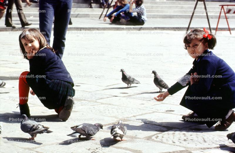 Pigeons, girls, 1950s