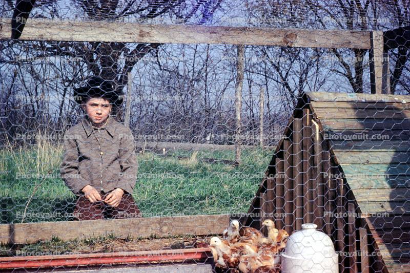 boy, Chicken House, Coop, 1940s