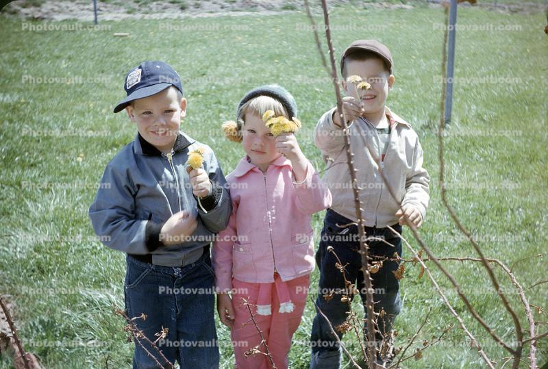 Brothers and Sister, 1950s