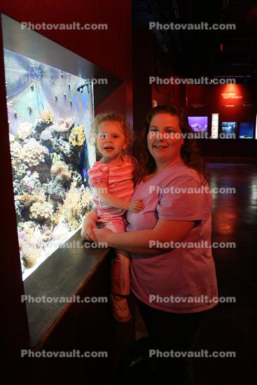 the Aquarium in Tulsa 