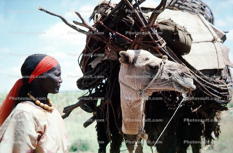 Woman with Camel, Refugee from war, Nomad, Nomadic, Somalia