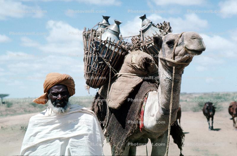 Man with Camel, Refugee from war, Nomad, Nomadic, Somalia