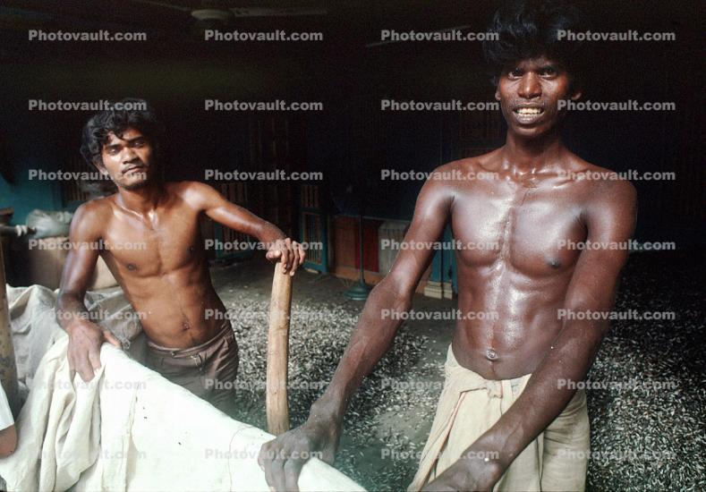 near Ahmedabad, Threshing Grain, Man, Male, Guy