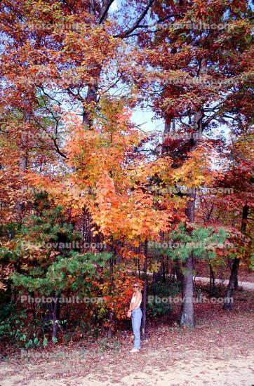Woman in the Autumn Colors in Kentucky, autumn