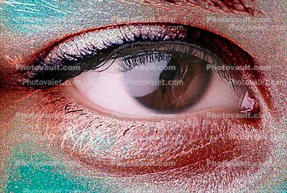 Eyeball, Iris, Lens, Pupil, Eyelash, Cornea, Sclera, skin, eyebrow