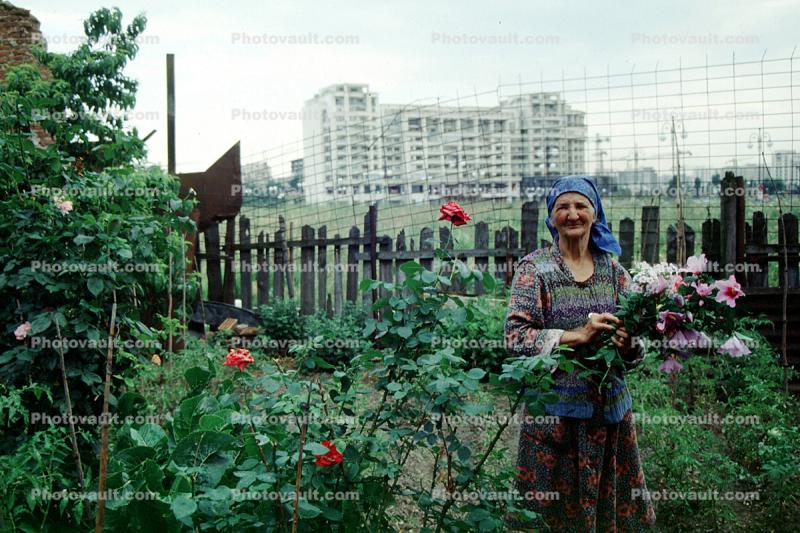 Woman in a Rose Garden, Bucharest, Romania