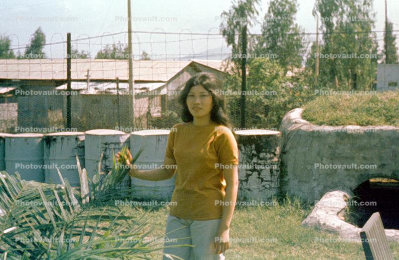 Woman in Vietnam, 1968, 1960s