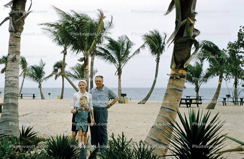 Beach, Palm Trees, parents, son, mother, father, 1950s