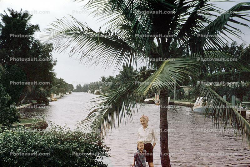 Girl, Female, Feminin, Feminine, woman, lady, Palm Tree, water, 1950s