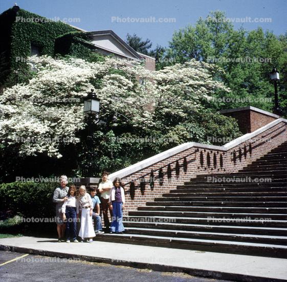 Stairs, Steps, Railing, flowers, spring time, 1970s