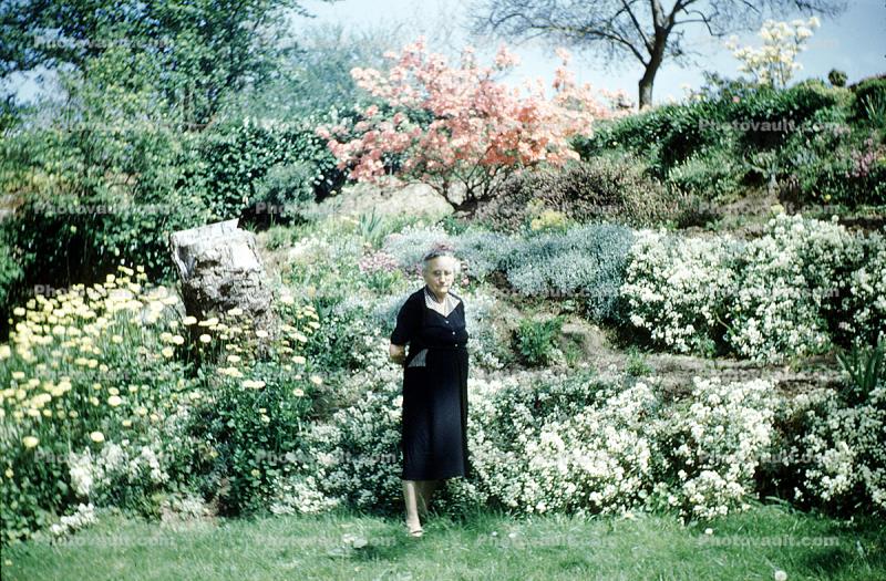 Grandma in the Gardens, 1960s