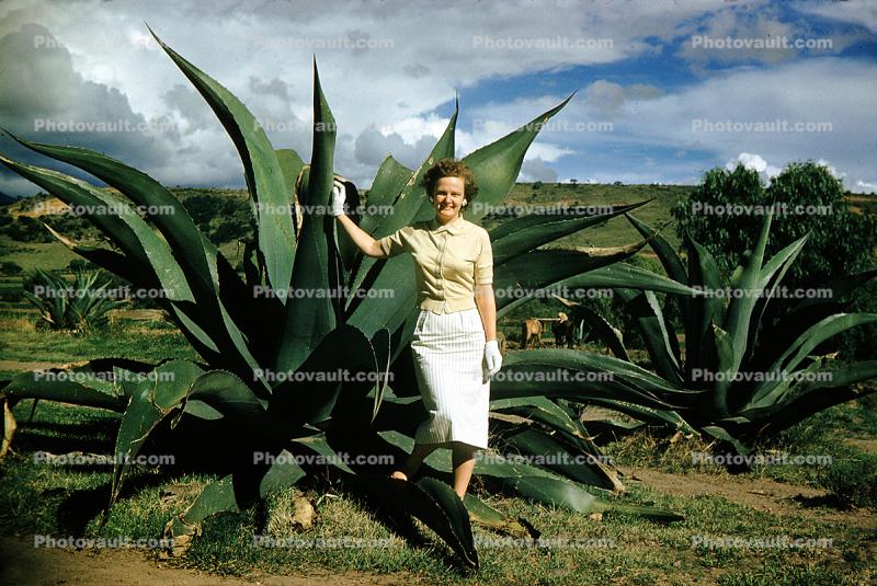 Woman, Formal Attire, Gloves, Dress, Huge Agave Plant, 1940s