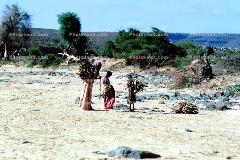 Gathering Wood, Refugee Camp, near the Ethiopia Somalia border, African Diaspora, Desertification