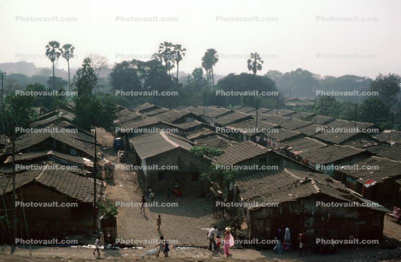 Homes, shacks, slum, buildings, Mumbai