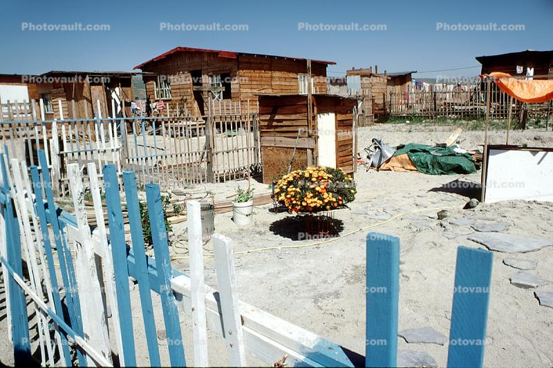 Flowers, Home, House, building, fence, Tijuana, Mexico