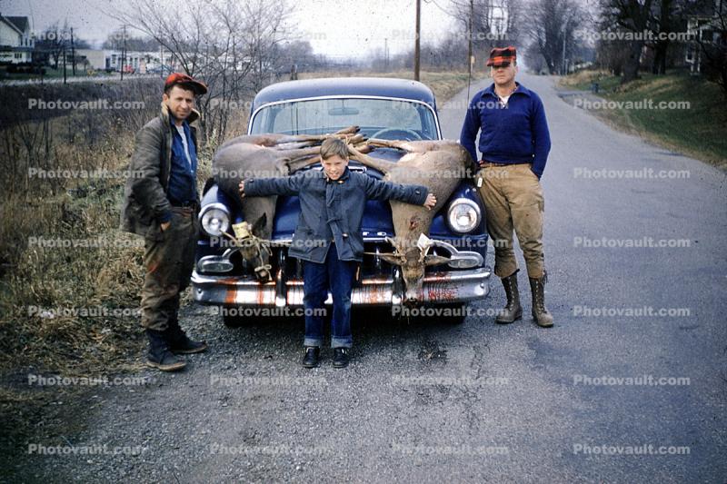 Deer, Hunter, Hunting, Car, Hood, vehicle, automobile, December 1958, 1950s