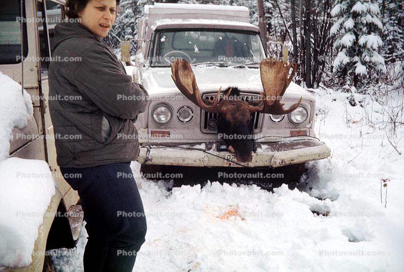 Jeep, Bull Moose, Antlers, 1960s